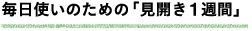 毎日使いのための「見開き1週間」